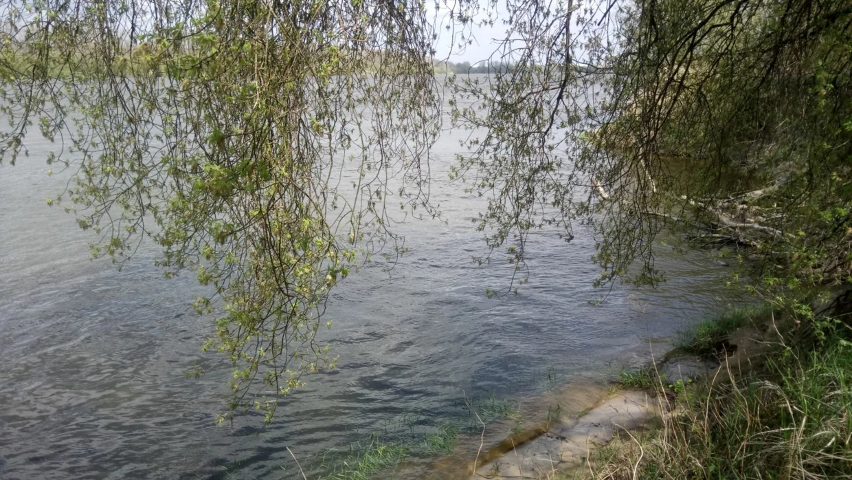 W czasie Nocy Kupały żywioł ognia spotyka się z żywiołem wody, a pełnia życia i aktywności powoli zwraca się ku śmierci.