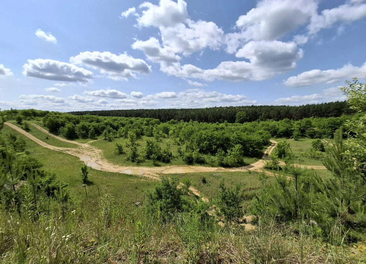 Kamieniołom Bodzechowski – panorama. Fot. Łukasz Misiuna