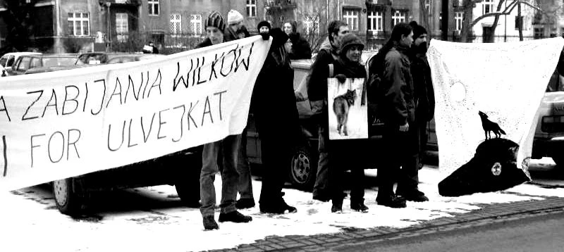 Protest przed Ambasadą Norwegii. Fot. Archiwum Pracowni