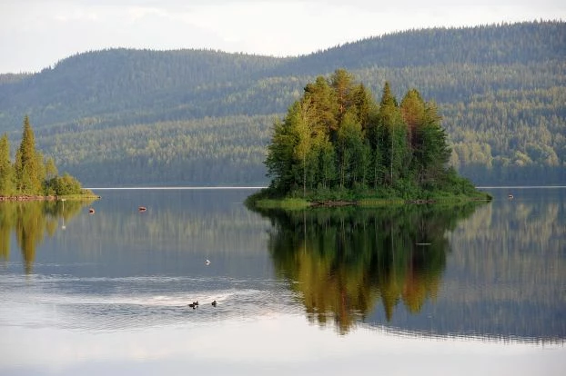 
Karelia. Fot. Natalia Sudets
