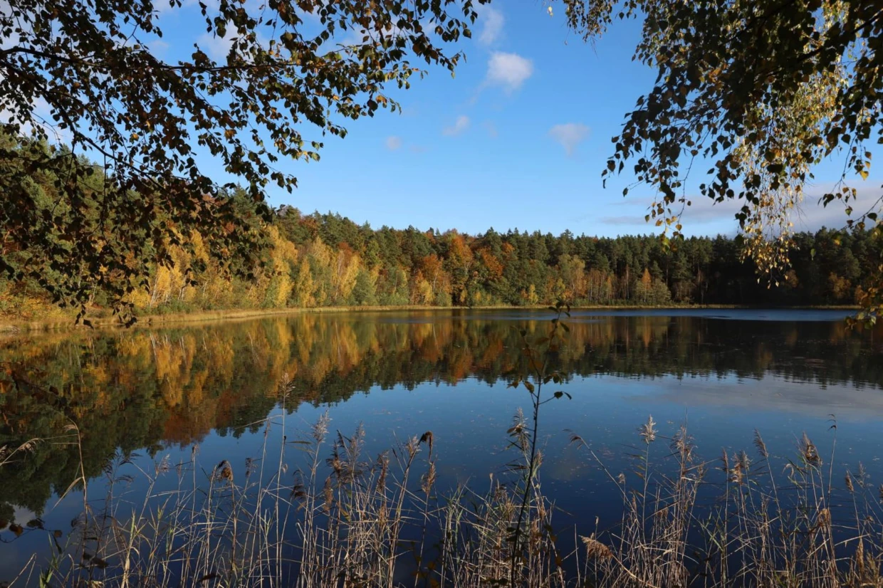 Rezerwat Jasne. Fot. Magdalena Dziadosz