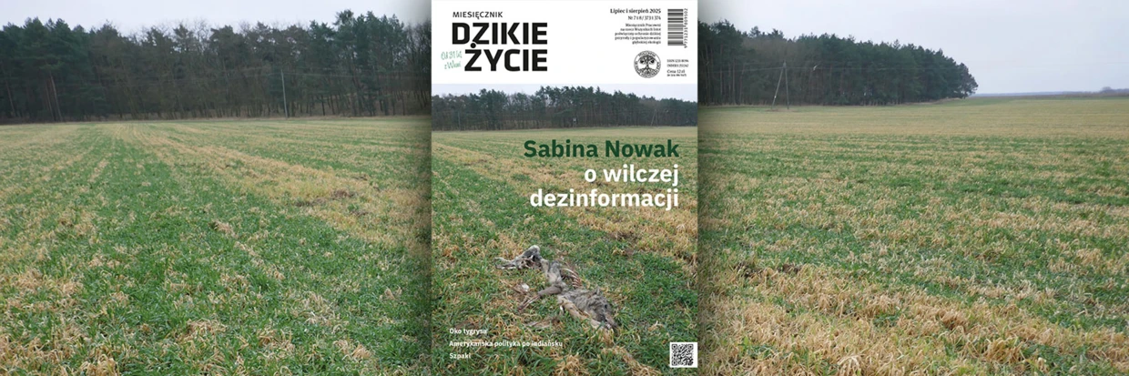 2025-07-twitter-dz_tlo