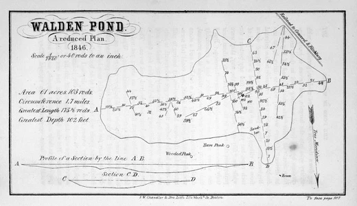 
Mapa stawu Walden, z kolekcji Concord Muzeum. Fot. David  Bohl
