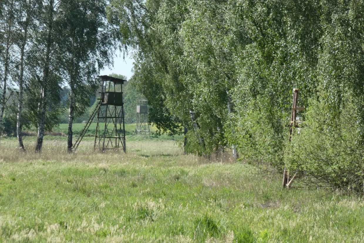 Ambony i zwyżka na łące pod Lewinem Brzeskim. Fot. Kazimierz Ożóg