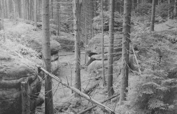 Góry Stołowe. Fot. Grzegorz Czerwiński