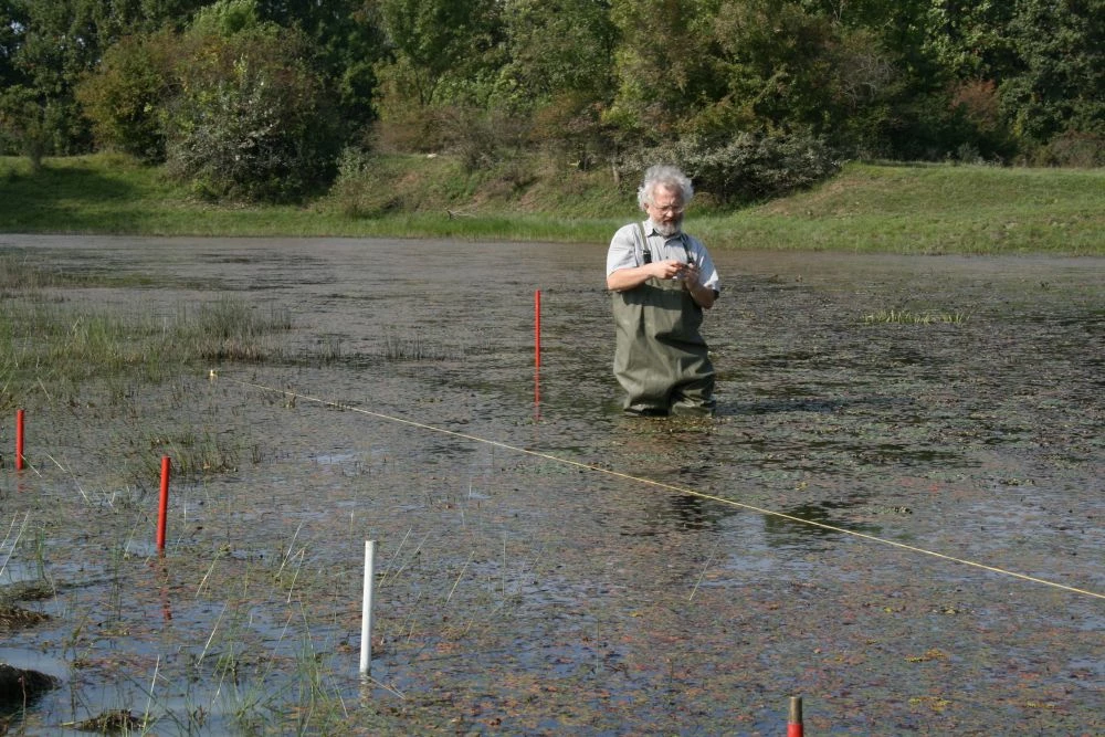 Jerzy B. Parusel pobiera liście marsylii czterolistnej w dolinie Laborcy (Słowacja) do badań genetycznych, 2008 r. Fot. Renata Bula