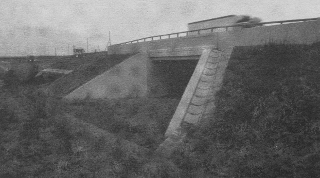 Przejście dla zwierząt, autostrada A-4. Fot. Rafał Kurek