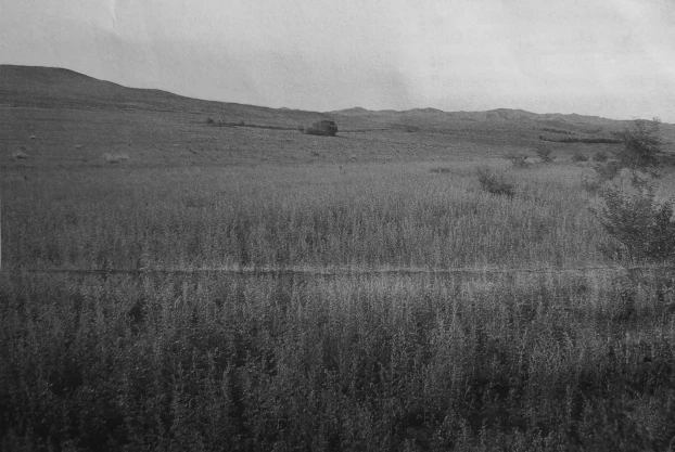 Azjatycki step na granicy buriacko-mongolskiej. Fot. Grzegorz Czerwiński