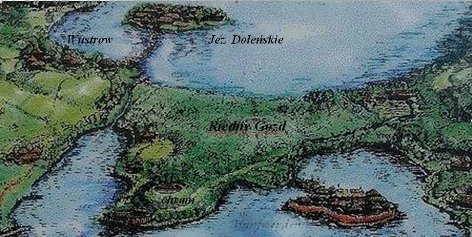 Odtworzony obszar riednego gozdu z XII w.; obraz wykonał Ehrhardt Grafik-Design