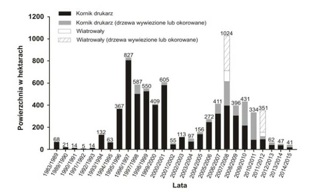 
Rys. Powierzchnie zniszczone przez czynniki naturalne w Parku Narodowym Las Bawarski (źródło: http://www.nationalpark-bayerischer-wald.bayern.de/doc/service/downloads/sonstige/entwicklung_der_stoerungsflaechen.pdf)
