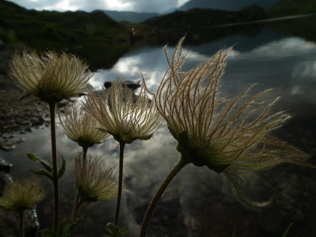 Cisza. Fot. Ryszard Kulik