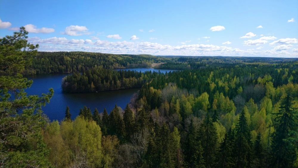 Widok z wieży w Parku Aulanko na Aulangonjärvi. W parku znajduje się rezerwat przyrody stworzony przez pułkownika Hugo Standertskjölda dla polskiej hrabiny, która jednak nigdy tam nie przybyła. Aulanko należy do fińskich krajobrazów narodowych, był źródłem inspiracji dla wielu artystów w tym Jeana Sibeliusa podczas tworzenia poematu symfonicznego „Finlandia”. Fot. Hanna Ruszczyńska