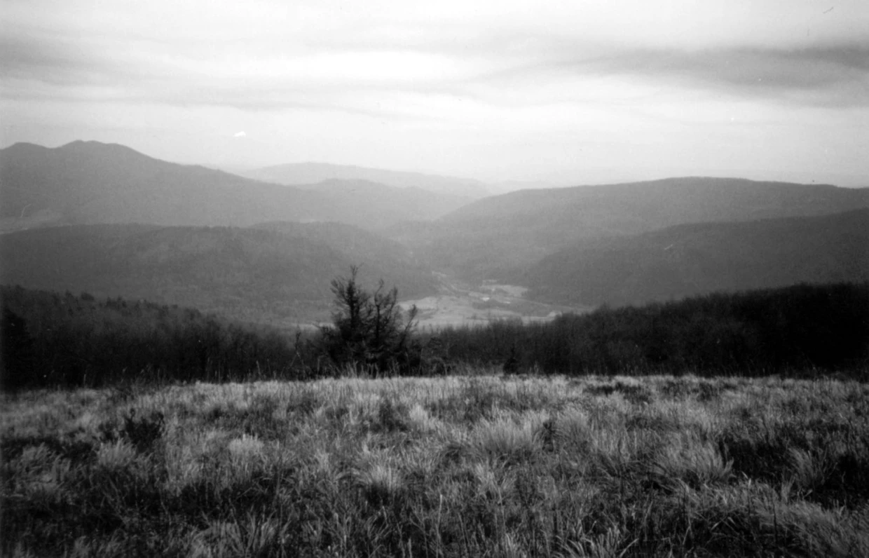 Małe Jasło. Tędy ma przebiegać trasa narciarska. Fot. Grzegorz Bożek