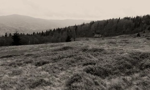 Polana na Jasieniu. Fot. Piotr Knaś