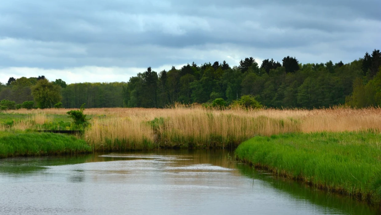 Wyspa Wolin – Lewińska Struga. Fot. Daniel Pałosz