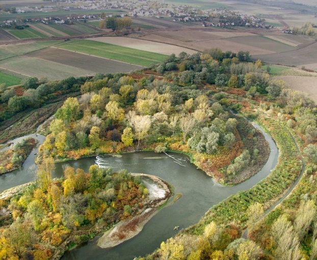Meandry Odry, © WWF. Fot. Piotr Nieznański