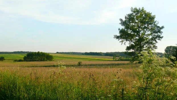 Pod Obicami. Fot. Łukasz Misiuna
