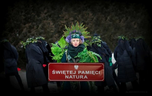 Świętej Pamięci Natura. Fot. Małgorzata Kowal