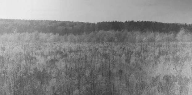 Łąki przeznaczone pod zabudowę (otulina Ojcowskiego Parku Narodowego). Fot. Mariusz Waszkiewicz