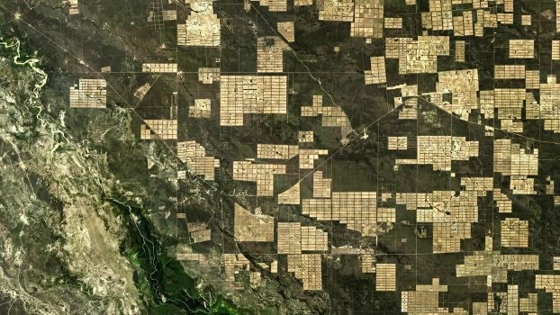 
Zdjęcie satelitarne części departamentu Boqueron w paragwajskim Chaco z sierpnia 2016 r. Fot. Landsat 8, NASA

