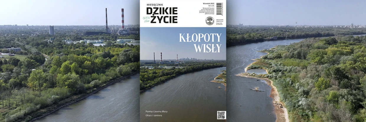 2025-09-twitter-dz_tlo