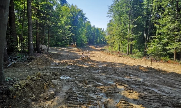 Pierwsze rozczarowanie – drogi, których nie było. Gdzieś nieopodal żółty szlak przecina czerwony szlak beskidzki, sierpień 2019 r. Fot. Beata Łopatkiewicz