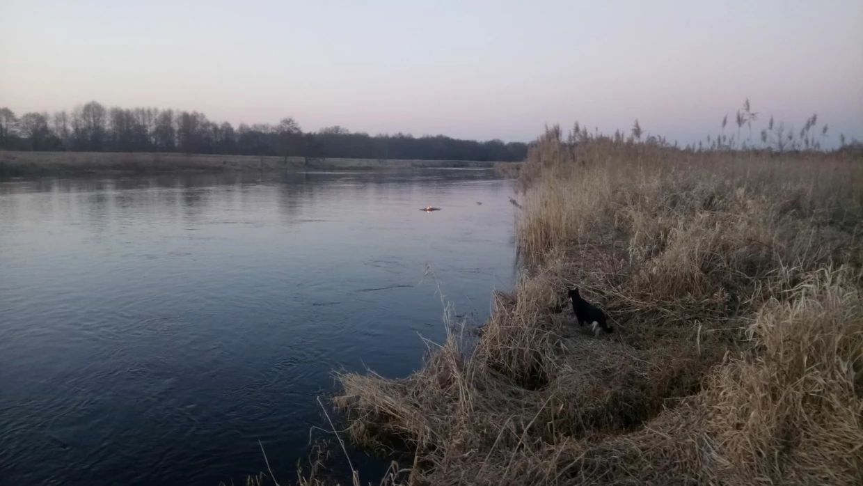 Marzanna płynęła rzeką do morza, które utożsamiano z zaświatami. Fot. Archiwum Moniki Stasiak