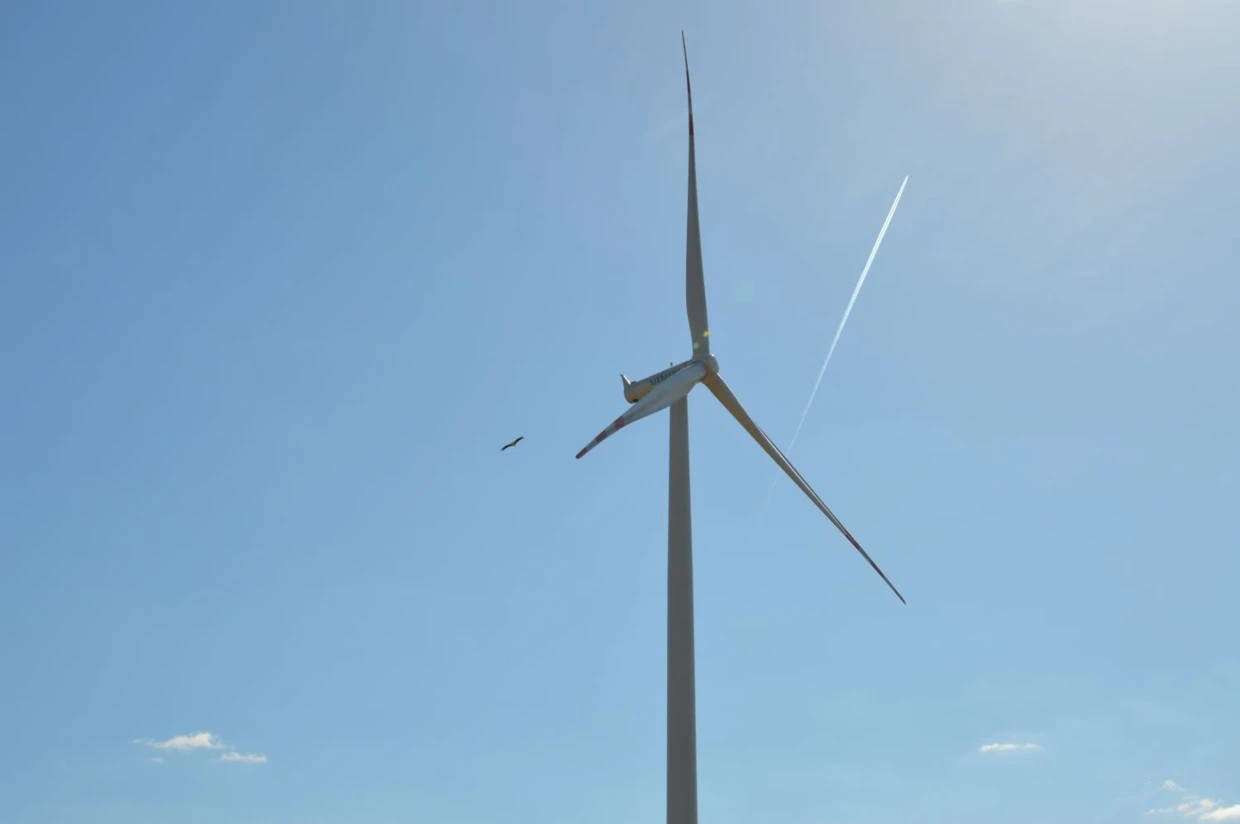 Polska potrzebuje wiatraków, ale nie tam gdzie to szkodzi przyrodzie. Fot. Łukasz Wardecki, OTOP