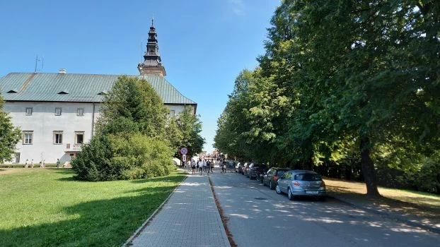 Fragment terenu przeznaczony do usunięcia z granic ŚPN, obecnie Muzeum Przyrodnicze ŚPN. Sierpień 2020 r. Fot. Łukasz Misiuna