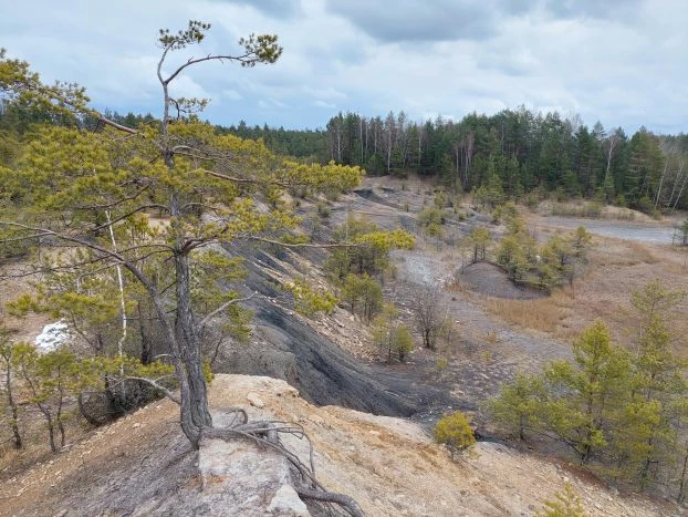 Rezerwat Gagaty Sołtykowskie