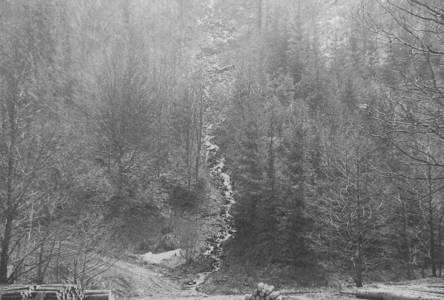 Dolina Ostrego. Fot. Radosław Szymczuk