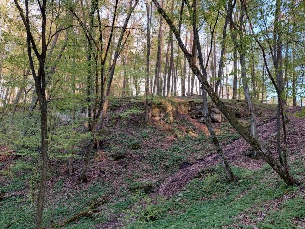 Dziedzictwo geologiczne i stanowisko paprotnika kolczystego w planowanym rezerwacie przyrody skałki w Podwalu. Fot. Łukasz Misiuna