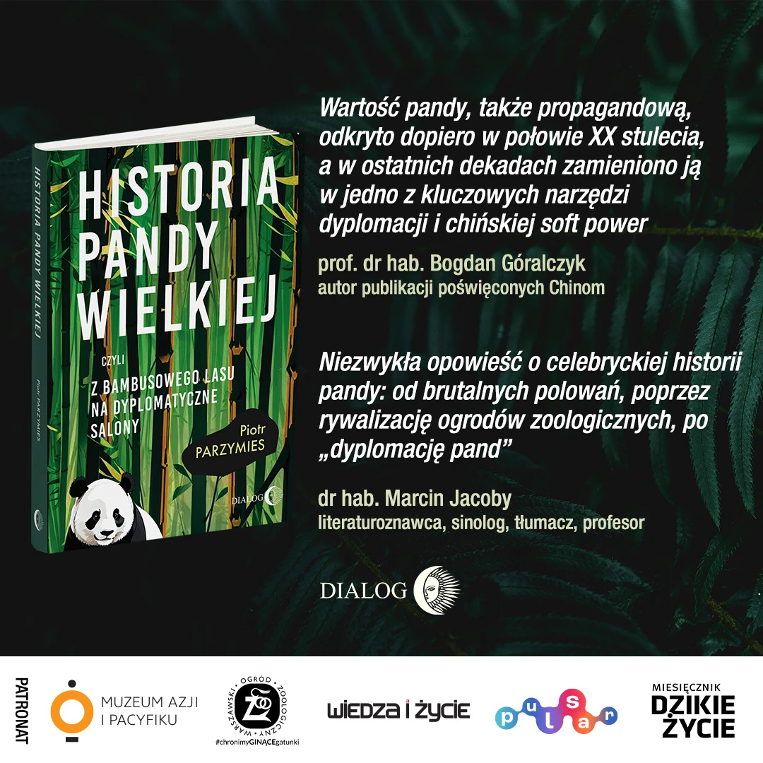 Historia-pandy-wielkiej-Piotr-Parzymies-sociale