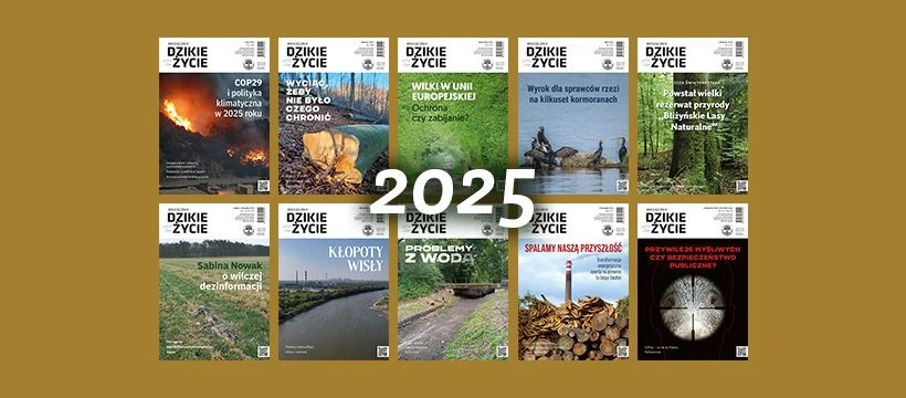 Rocznik 2025!
