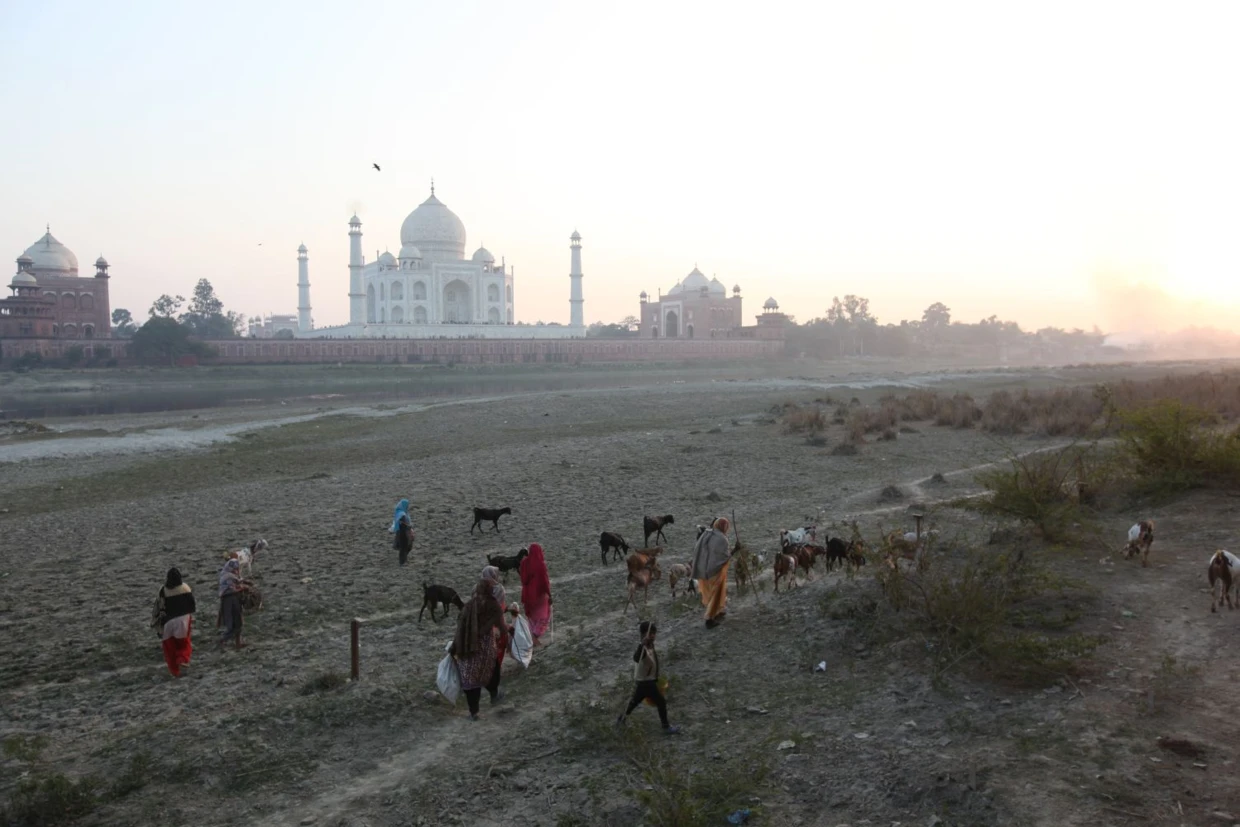 Do 1870 r. wszystkie indyjskie lasy były zarządzane wspólnotowo. Obecny rząd kontynuuje w tej kwestii imperialną politykę względem chłopów i rdzennej ludności. Fot. Marta Sawicka-Danielak