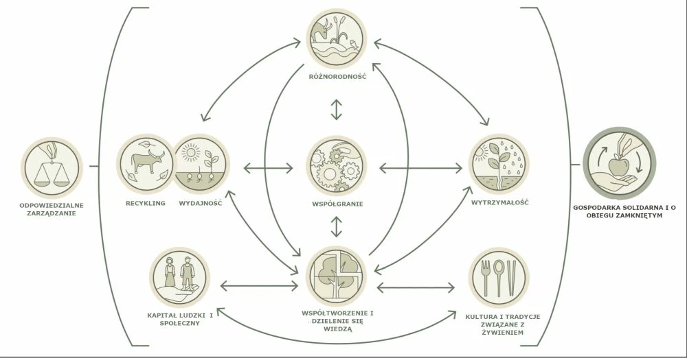 Dziesięć elementów agroekologii według FAO. Źródło: FAO