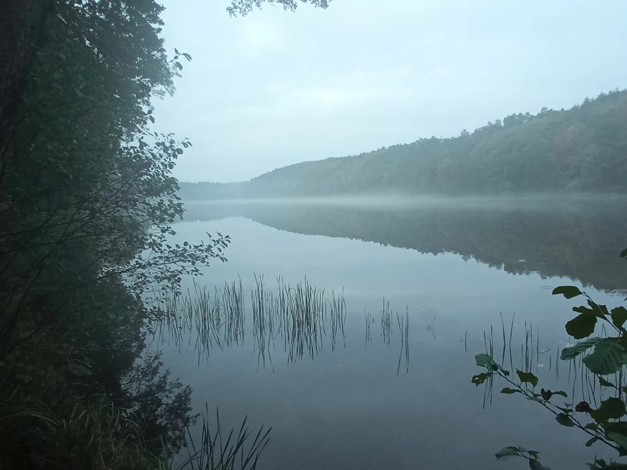 Jezioro Strzeleckie w wieczornej mgle. Fot. Bartosz Świątek