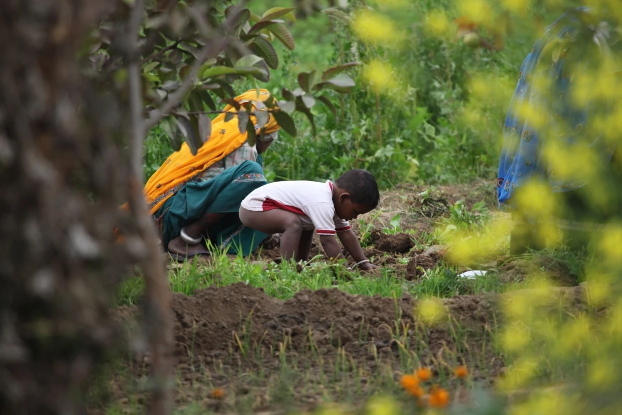 Trud pracy w lesie. Fot. Marta Sawicka-Danielak