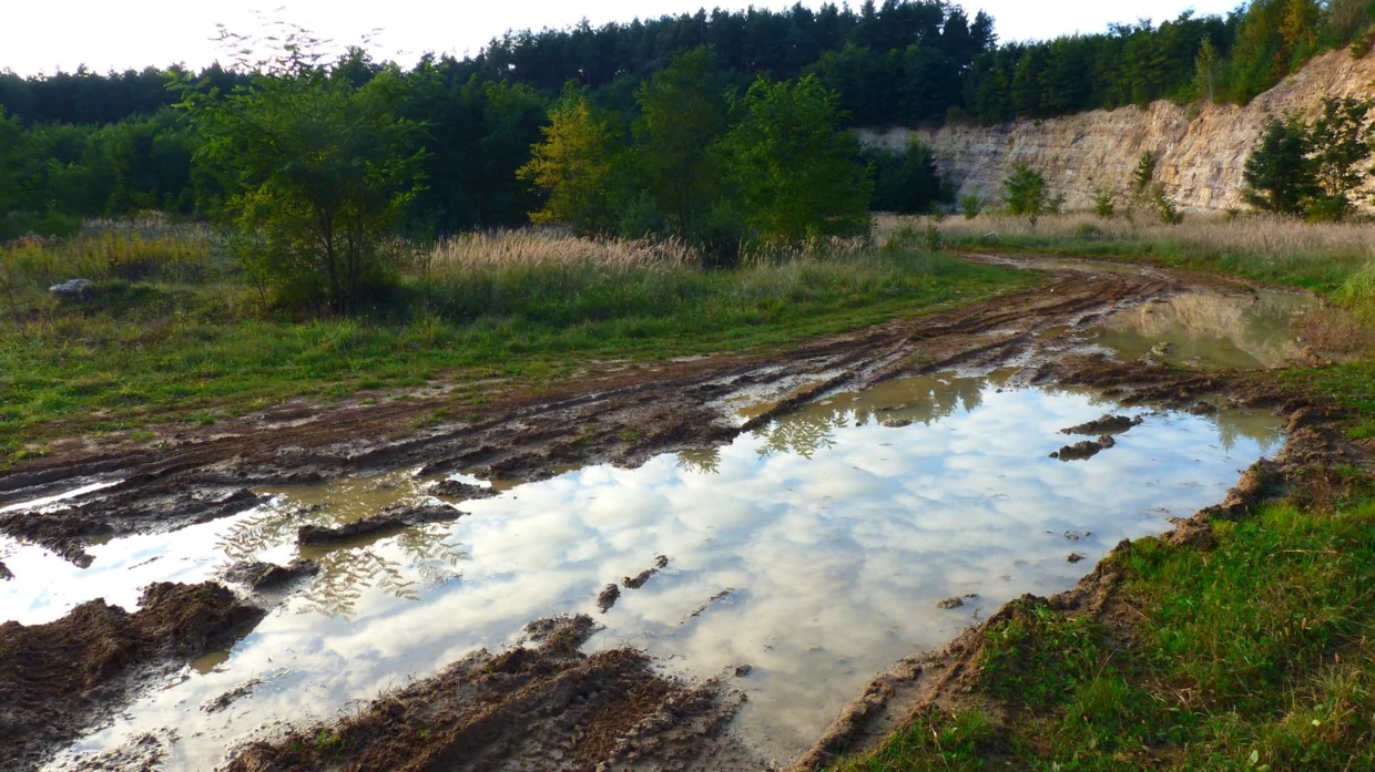 Kałuża w Kamieniołomie Bodzechowskim. Rezerwat przyrody Krzemionki Opatowskie. Fot. Łukasz Misiuna