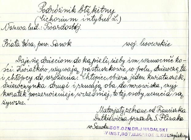 Fiszka pochodząca z archiwalnych materiałów Adama Fischera (Archiwum Polskiego Towarzystwa Ludoznawczego)