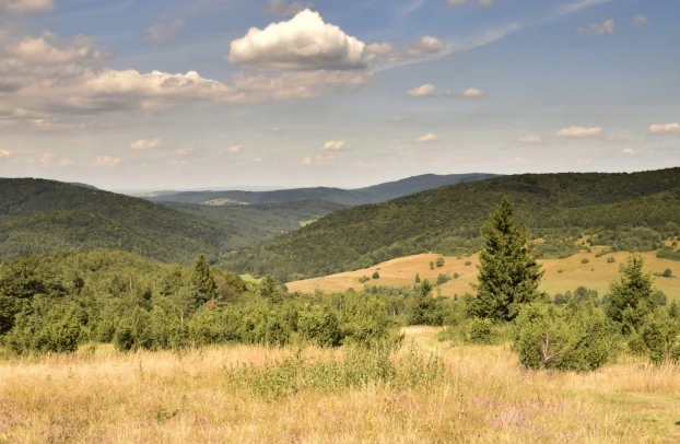 Widok z Wysokiego na dolinę potoku Krempna. Fot. Alan Weiss