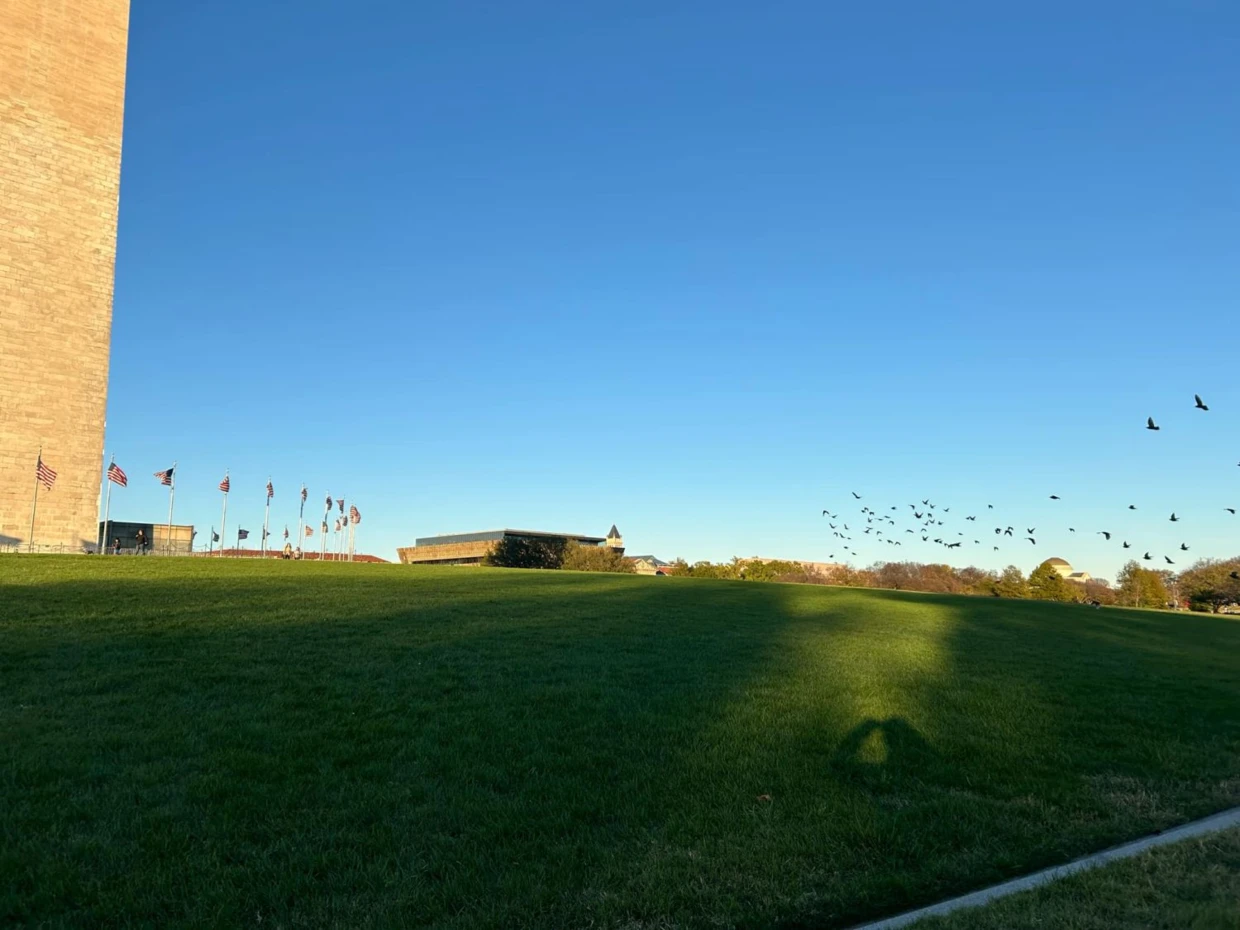 Wzbijające się do lotu ptaki i flagi amerykańskie przy Pomniku Waszyngtona. Fot. Dagmara Stanosz