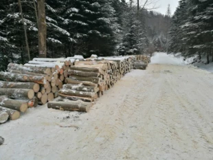 Taki widok w Karpatach to codzienność. Fot. Grzegorz Bożek
