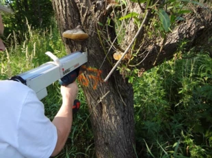 
Badanie rezystografem na drodze Krempna – Grab. Fot. Archiwum Pracowni
