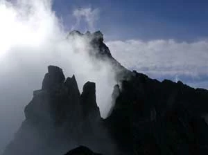 Idea ochrony stanowi dla Pawlikowskiego rodzaj powinności, jest sprawą kluczową zarówno dla sumienia jednostki, jak i dla zbiorowości Fot. Andrzej Śliwiński