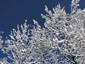 Fot. Andrzej Śliwiński