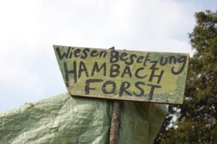 
Całoroczny obóz na łące przy Hambacher Forst. Fot. Radosław Gawlik, EKO-UNIA
