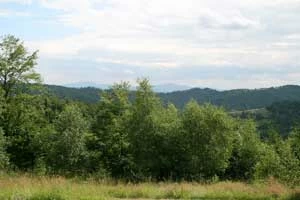 Krajobraz Beskidu Małego widziany z Przełęczy Kocierskiej. Fot. Jerzy B. Parusel