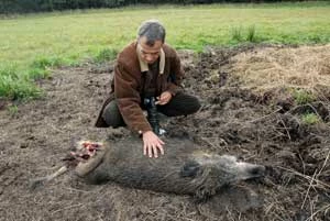 Zenon Kruczyński i ciało dzika przy granicy BPN. Fot. Andrzej Zgiet