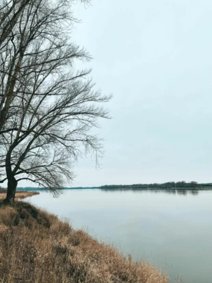 Zimowa Dolina Wisły nieopodal Leoncina. Fot. Adam Barcikowski